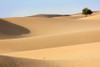 Desert Study C Poster Print - Studio Praxis