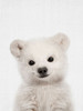 Peekaboo Baby Polar Bear Poster Print - Lola Peacock
