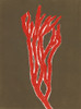 Coral 7 Poster Print - Studio MMB