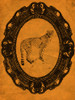 Framed Cheetah in Tangerine Poster Print - Studio SEA
