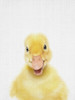 Peekaboo Baby Duck Poster Print - Lola Peacock