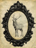 Framed Elk 36x27 Poster Print - Studio SEA