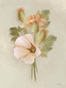 Peach Carnations II Poster Print - Fenway House