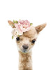 Floral Baby Llama Poster Print - Lola Peacock