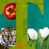 T Poster Print - P. H. Photography