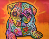 Sugar Pug Poster Print - Russo Collection Dean