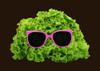 Mr Salad Poster Print - Florent Bodart