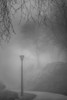 Misty Path Poster Print - Don Schwartz