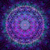 Flower Of Life Poster Print - Cameron Gray