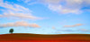 Rolling Hills of Clover Poster Print - Don Schwartz