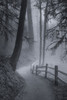 Misty Morning Trail Poster Print - Don Schwartz