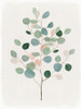 Soothing Botanical II Poster Print - K Aria