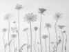 Cow parsley Poster Print - Assaf Frank