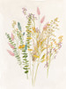 Dried Flower I Poster Print - K Aria