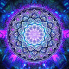 Flower Bloom Mandala Poster Print - Cameron Gray