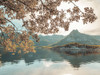 Norwegian fjord, Lofoten, Norway Poster Print - Assaf Frank
