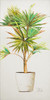 Essential Compliment on White V Poster Print - Patricia Pinto