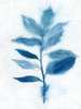 Modern Blue Botanical II Poster Print - K Aria