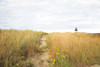 Nantucket lighthouse Poster Print - Aledanda