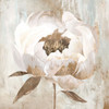 Ebony Floral II Poster Print - K Aria
