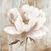 Ebony Floral I Poster Print - K Aria