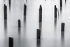 Pilings on the Rivers Edge Poster Print - Don Schwartz