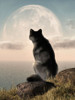 Wolf Watching The Moonrise Poster Print - Daniel Eskridge