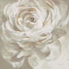 Neutral Rose Poster Print - Danhui Nai