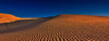 Dune Squiggles Poster Print - Bill Sherrell