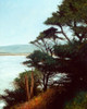 Carmel Bay Poster Print - Miguel Dominguez