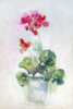 Soft Geranium I Poster Print - Sally Swatland