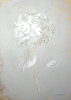 White Floral Sketch I Poster Print - Danhui Nai