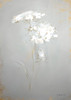 White Floral Sketch II Poster Print - Danhui Nai