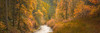Creek Through the Autumn Woods Poster Print - Don Schwartz