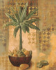 Potted Palm with Fruit II Poster Print - Unknown