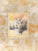 White Rose Damasque II Poster Print - Unknown