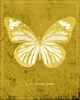 Butterfly J Poster Print - ArtLab GI