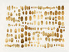 Playful Gold III Poster Print - Angela Perry