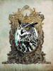 Portrait of Mr. Owl Poster Print - ArtLab GI