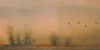Foggy Island Poster Print - Don Schwartz