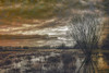 Winter Solitude Poster Print - Don Schwartz