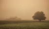 Foggy Barn Poster Print - Don Schwartz