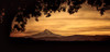 Mt. Hood at Sunset Poster Print - Don Schwartz
