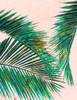 Palmas in Pink I Poster Print - Patricia Pinto