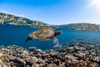 Sea Turtle II Poster Print - Artographie