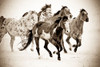Painted Horses Run Poster Print - Carol Walker