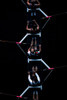 Rowing Poster Print - Artographie