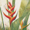 Heliconias With Leaves I Poster Print - Patricia Pinto