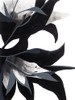 Leaky Flowers 6 Poster Print - Ben Gordon