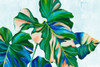 Blue Tropical Leaves II Poster Print - Alex Black